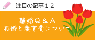 離婚Ｑ＆Ａ（再婚と養育費について）